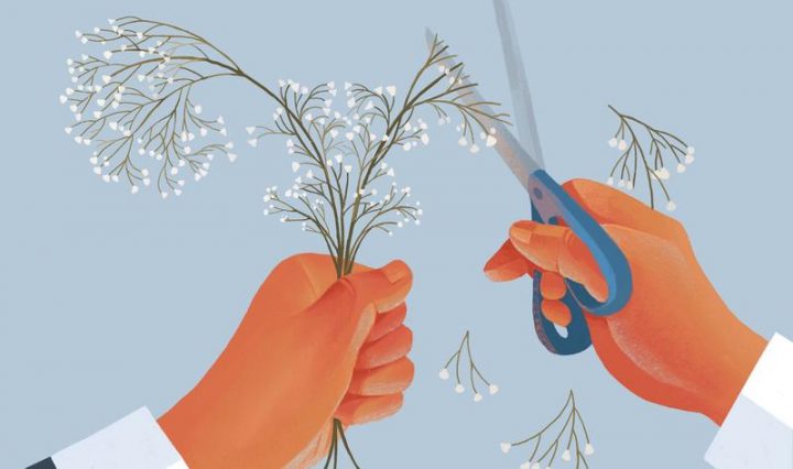 color drawing of left hand holding flowers, with right hand cutting flowers with scissors