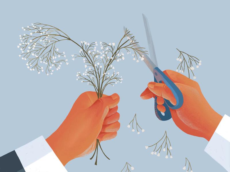 color drawing of left hand holding flowers, with right hand cutting flowers with scissors